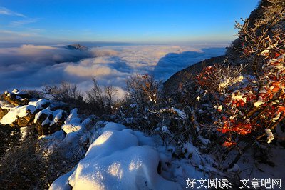 关于曾经沧海的优美句子
