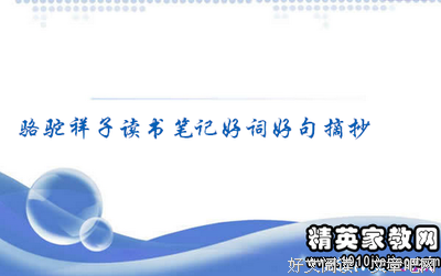 大爱好词好句