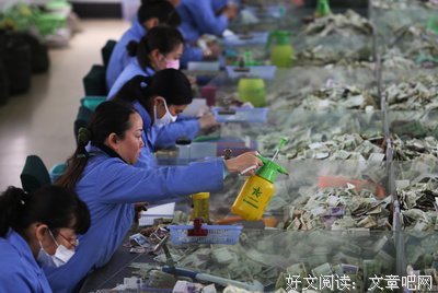 马云对金钱不感兴趣的真相找到了！