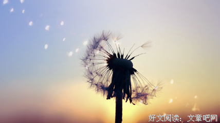 关于亦舒的名句