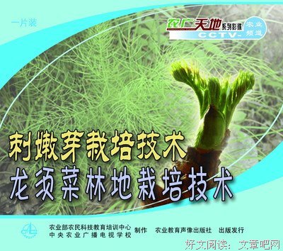刺嫩芽名人名言
