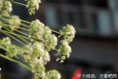 最全的《传习录》经典名句
