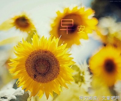 最新的《信心铭》经典语录