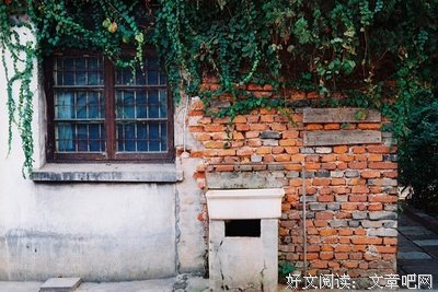 最经典的《半生缘》经典语句