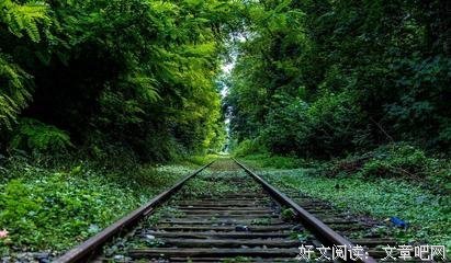 最新的《小幸运》经典句子大全