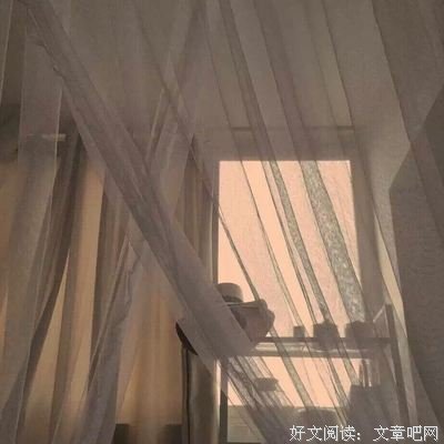 最新的《尽余生》语录摘抄