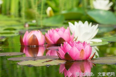 最经典的《浣溪沙》语录摘抄大全