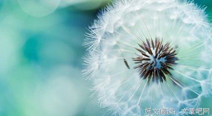 关于哈罗德的唯美语录