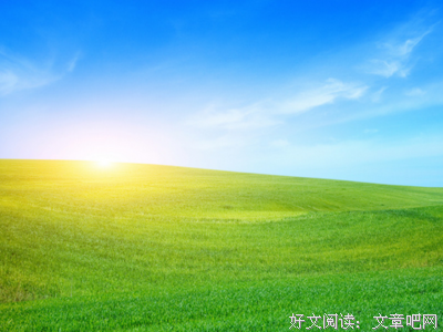 阿赖的句子