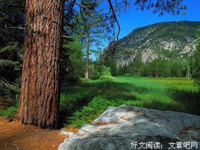 关于不痛不痒的语句