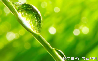 深度解读水瓶座：水瓶座的不合群是发自内心的吗？