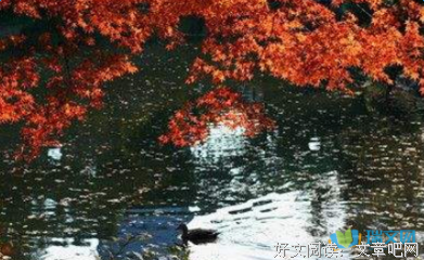 随的优美句子