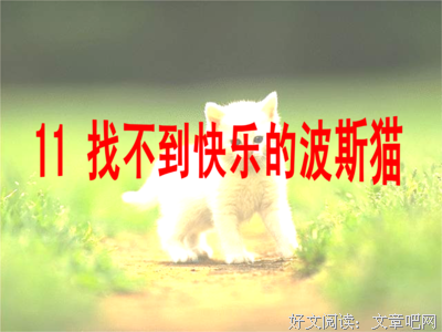 关于波的子猫的优美句子