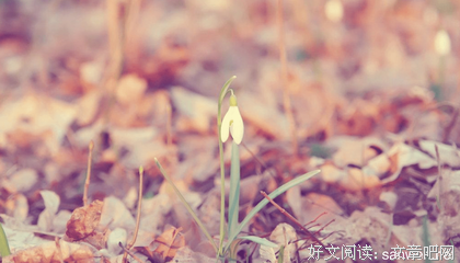关于叶芝精彩语录
