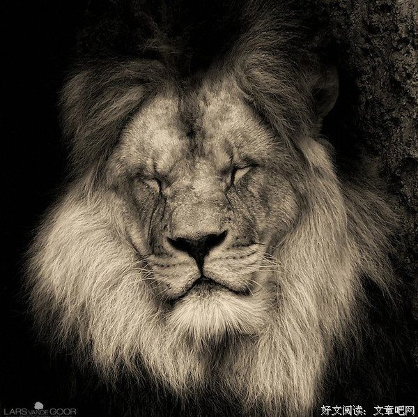 周濂经典句子
