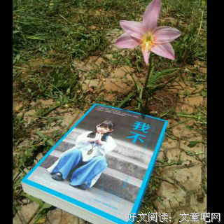 有关大冰的名言