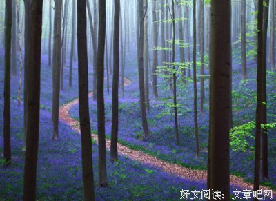 有关安逸名言警句