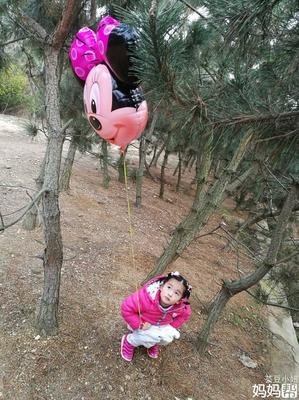 小楼的格言