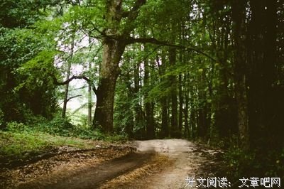 屈原的名言