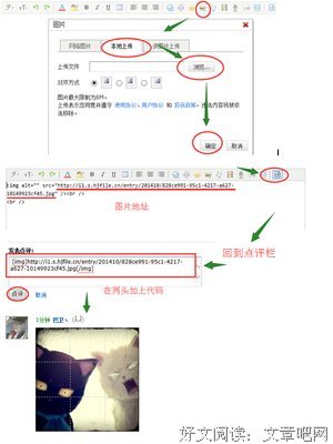 关于巴卫名言大全