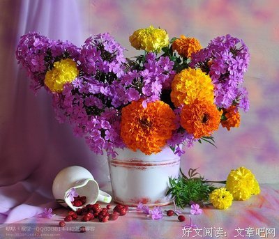 最全的《花物语》经典的句子