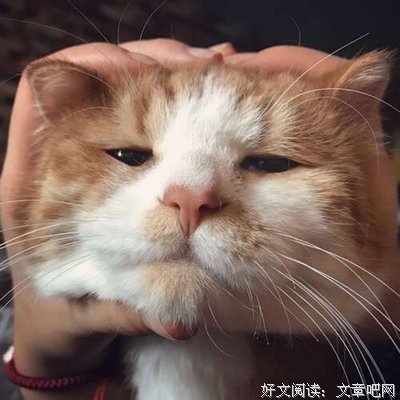 《蚀心者》名句欣赏