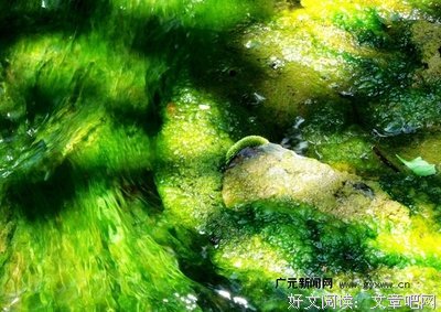最经典的《云中翡翠》经典的句子大全