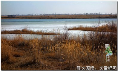 最新的《人间草木》小说书摘大全