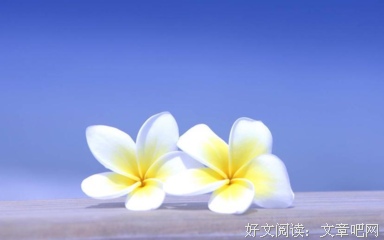 最经典的《从零开始》好段摘抄