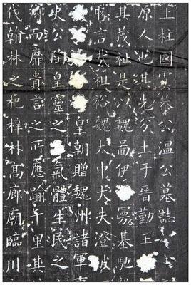 唐虞的句子