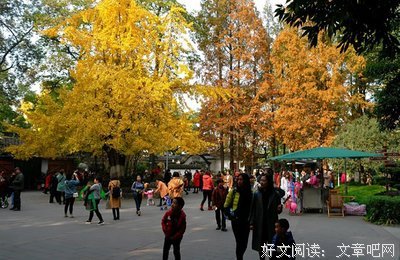 散花的名句_关于散花的名句