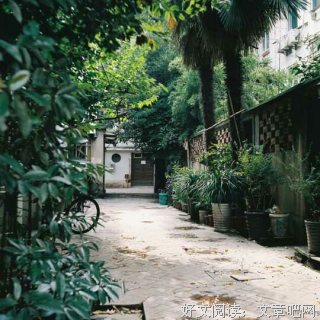 别来，无恙