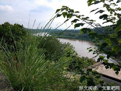 葬心经典名句