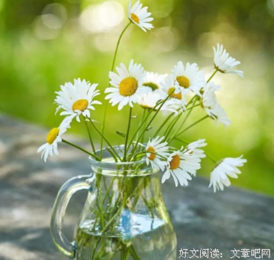 最新的杜牧名言