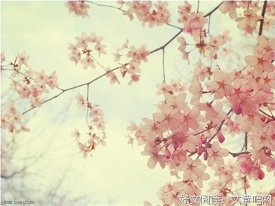 最全的自己经典语录