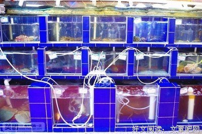 海宴名言大全