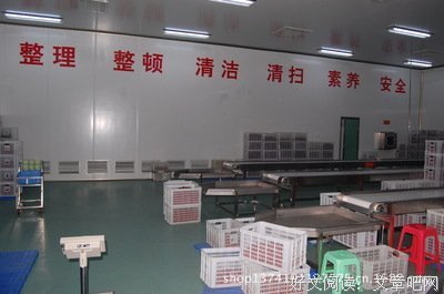 有关红枣名言大全