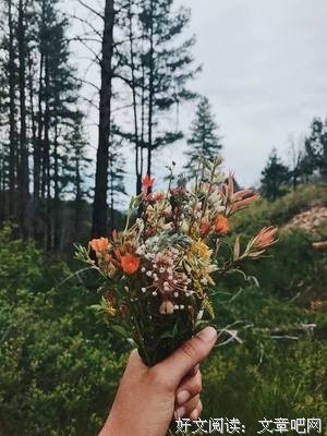 最经典的《心灵写作》经典语句