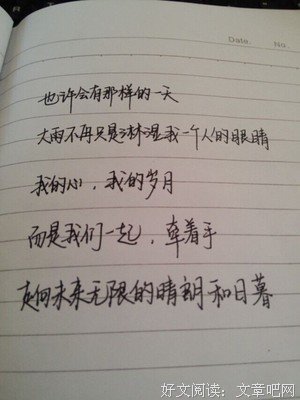 最新的《愿风裁尘》小说摘抄