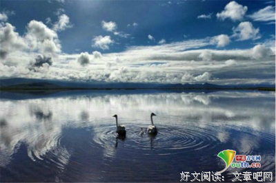 关于简短的名言