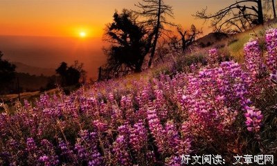 关于离山的唯美语录