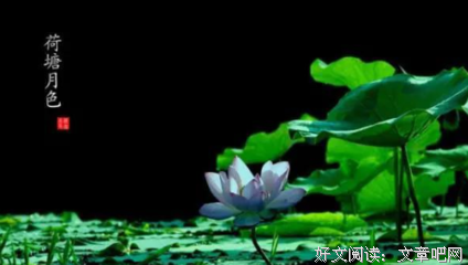 关于如月华名言名句
