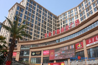 长篇连载小说《旧国梦》|（69）另一番天地