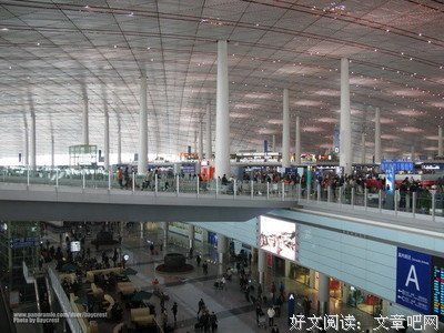 高学历和高智商，能弥补相貌上的不足吗？