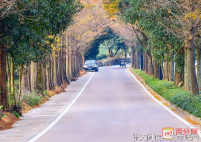 最新的路内的名言