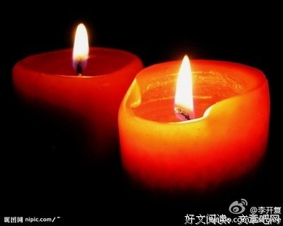 关于麦家名言大全