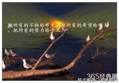 最全的《百度知道》语录摘抄大全