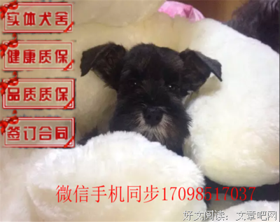 “我想娶你，因为你满足我列表里的所有标准”