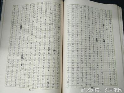 最新的《花开半夏》经典名句大全