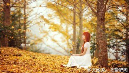 最新的《金色的风》佳句摘抄